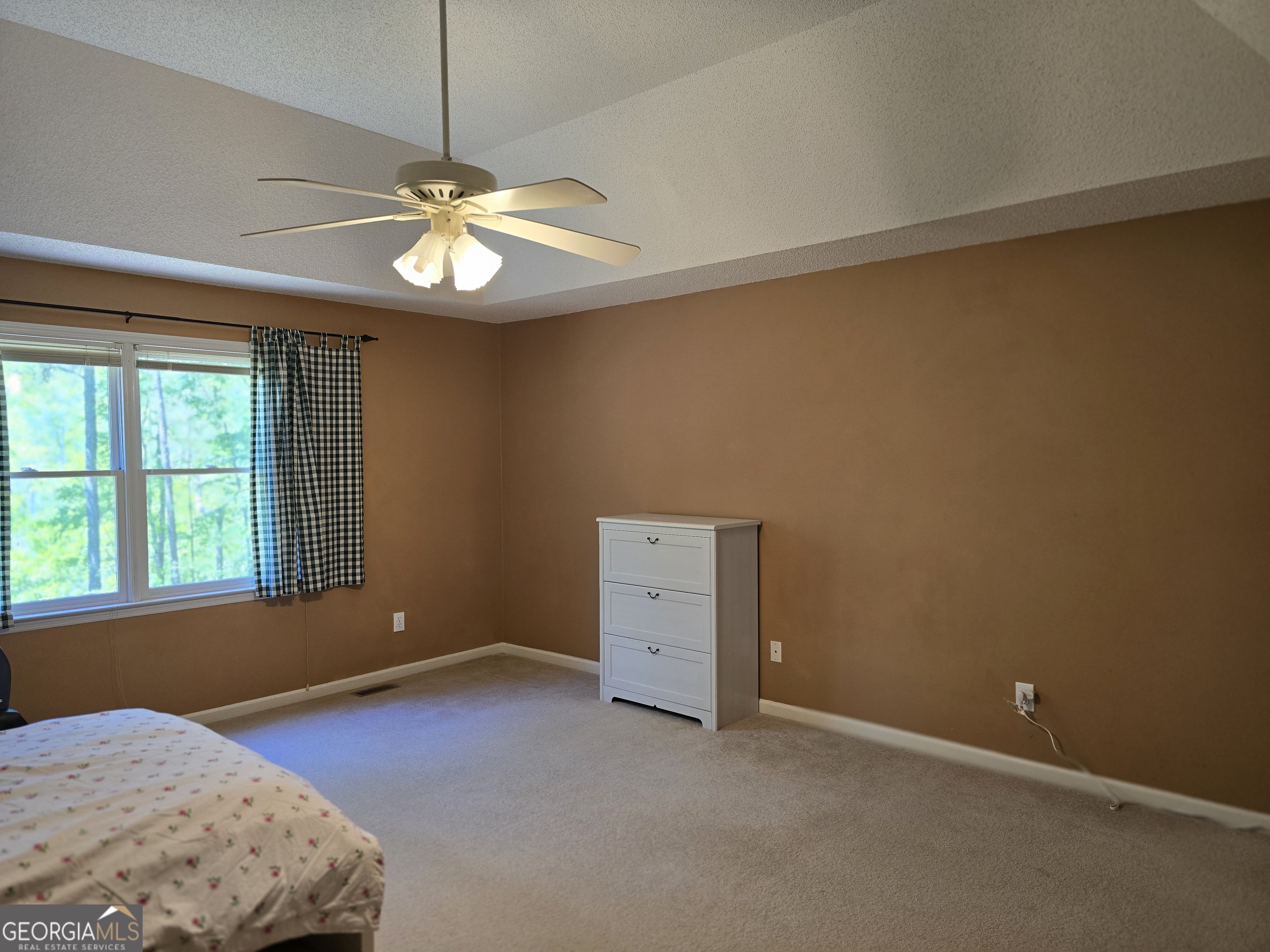 107 Ember Way LaGrange, GA 30240 - Photo 26 of 36 an empty room with windows and ceiling fan