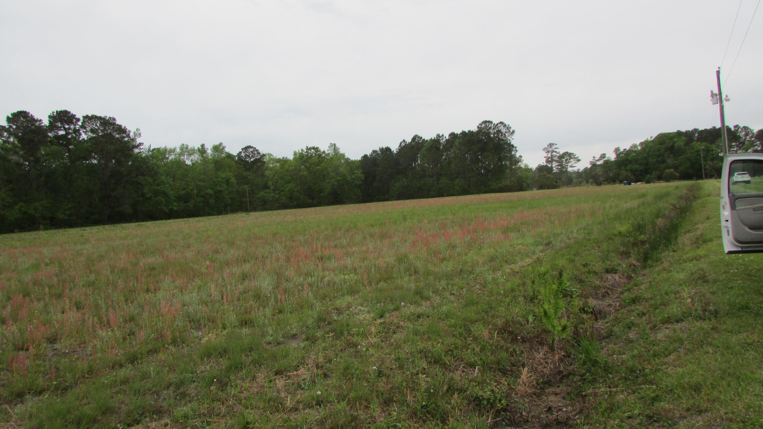 0 Benjamin Road Johns Island, SC 29455 - Photo 2 of 7 IMG_2660