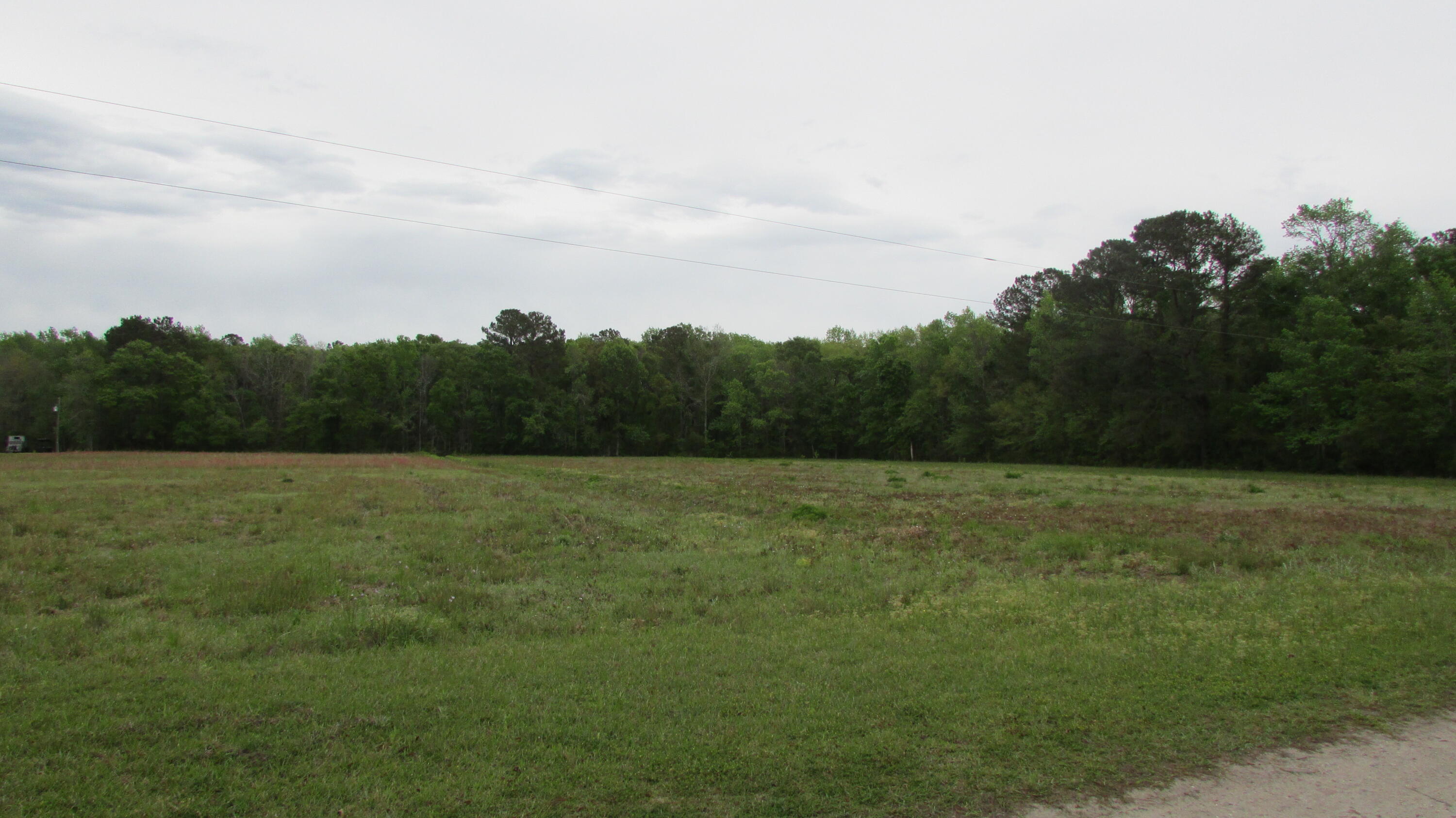 0 Benjamin Road Johns Island, SC 29455 - Photo 3 of 7 IMG_2661
