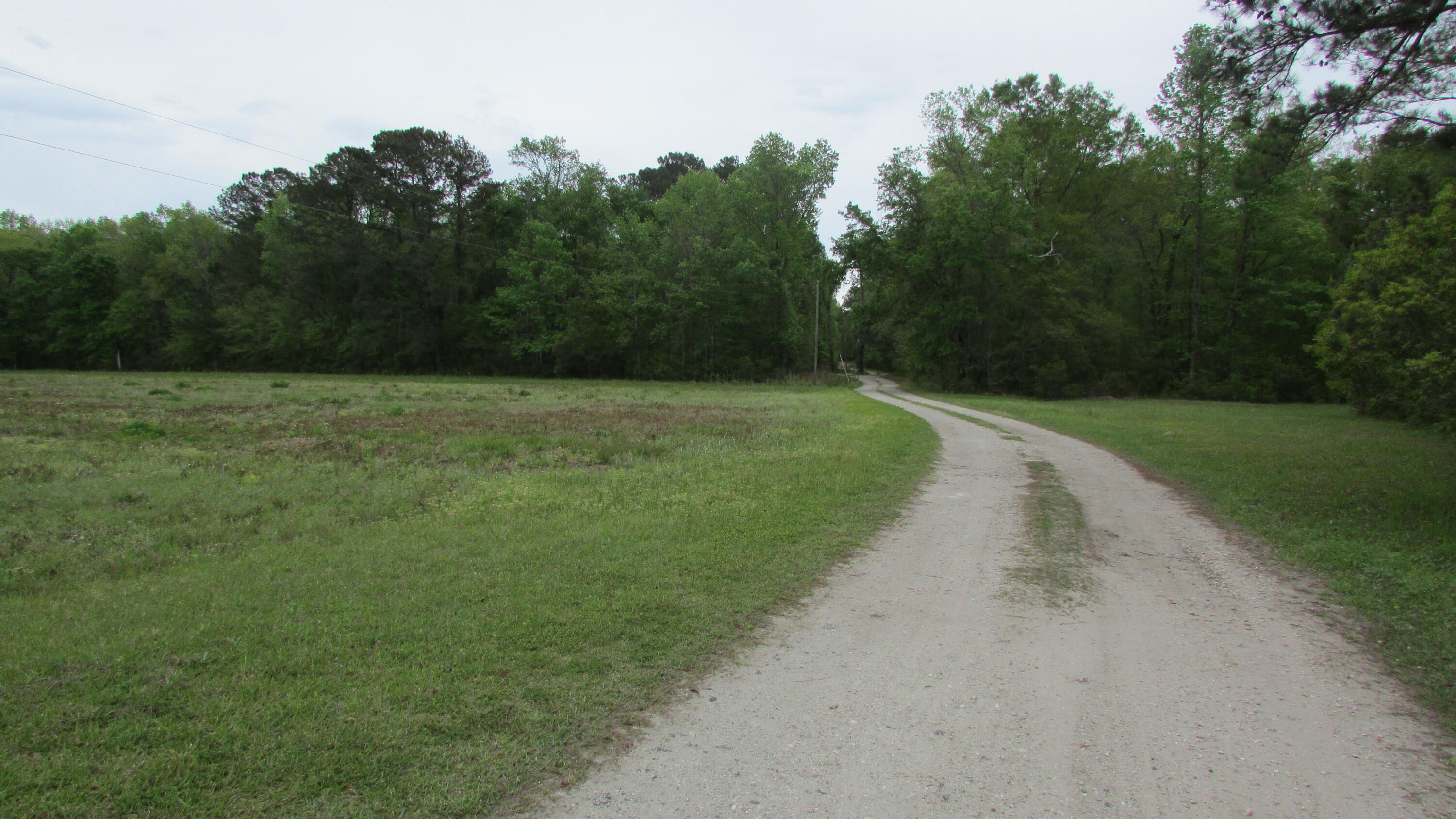 0 Benjamin Road Johns Island, SC 29455 - Photo 4 of 7 IMG_2662