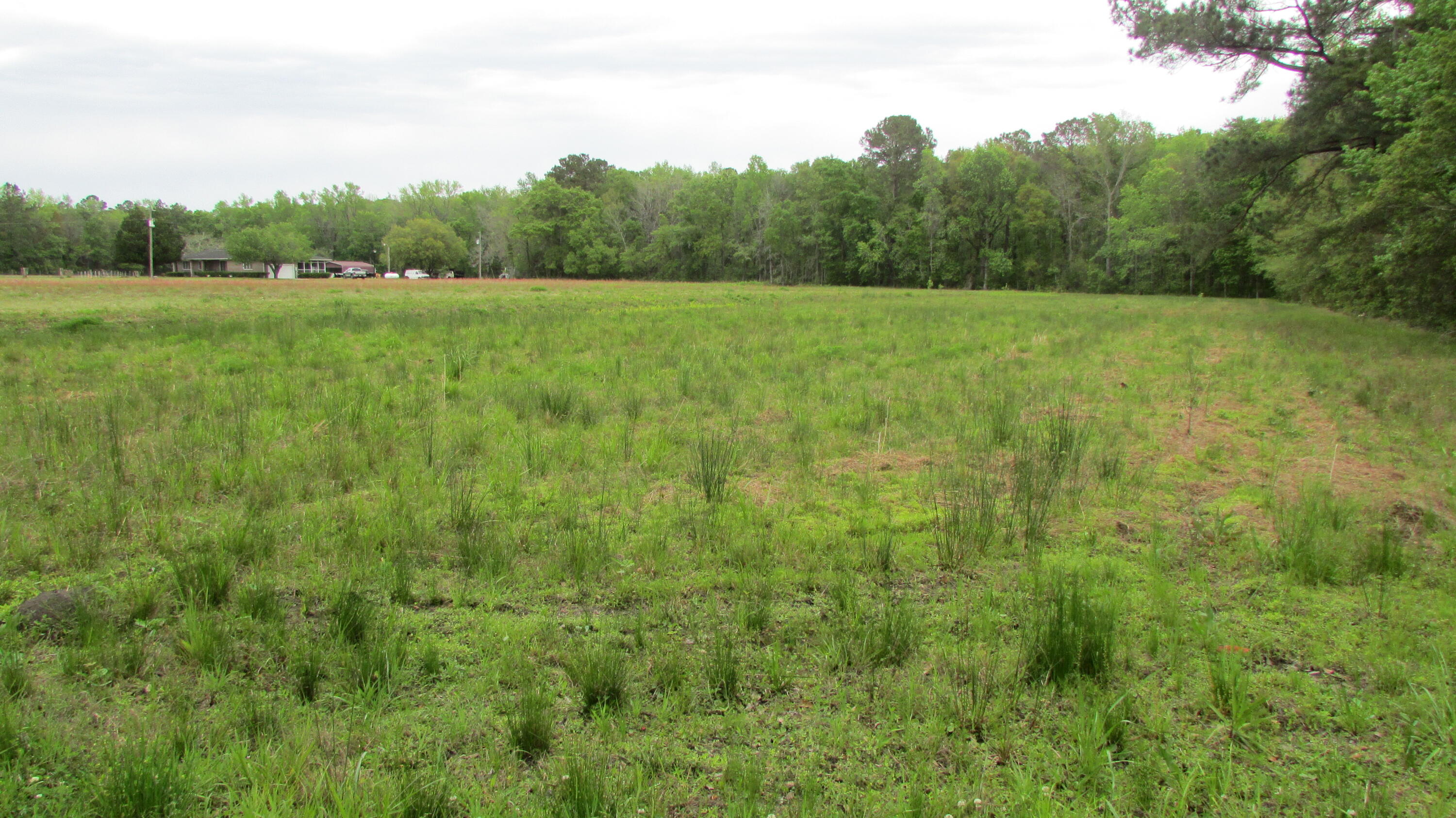 0 Benjamin Road Johns Island, SC 29455 - Photo 5 of 7 IMG_2663