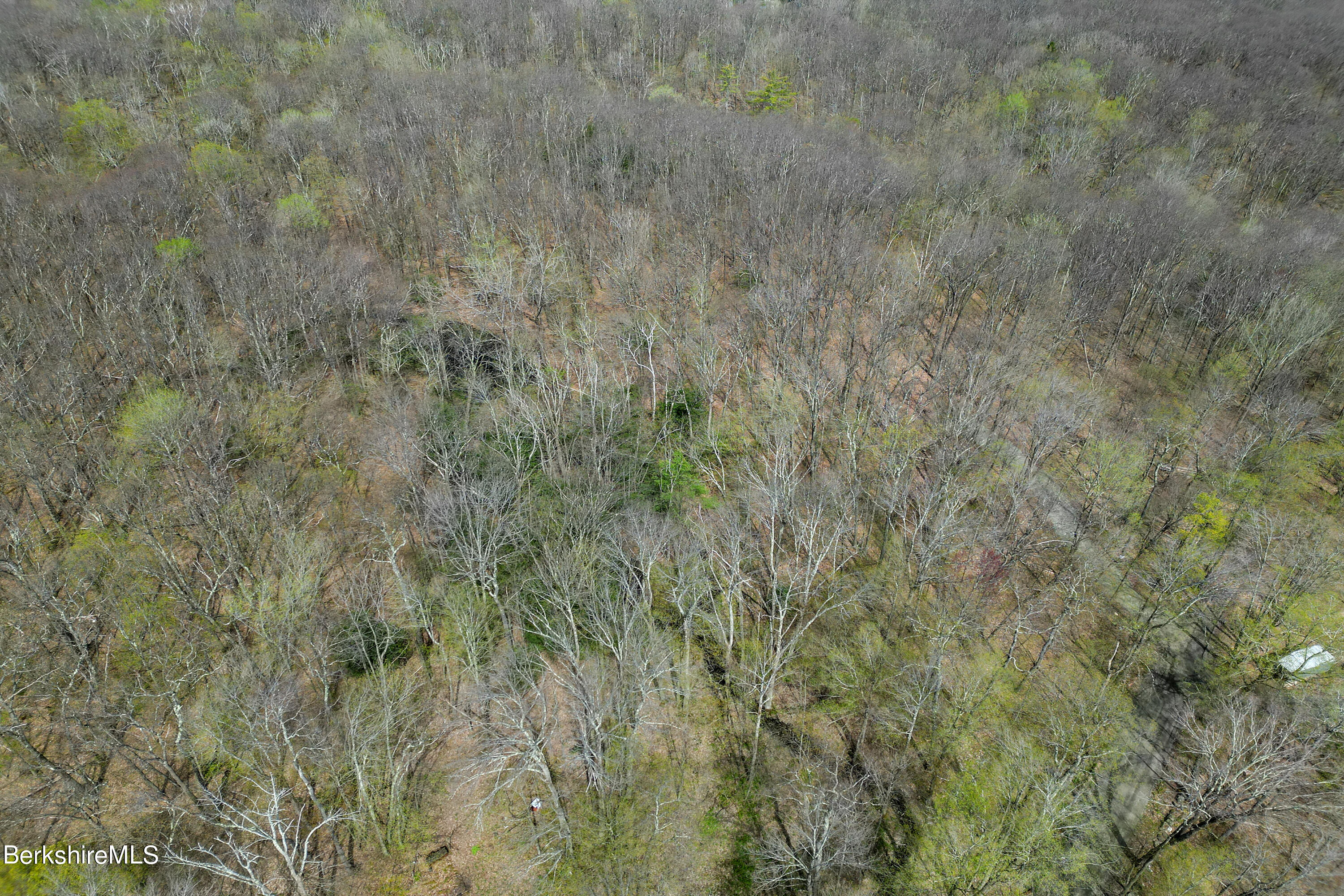 0 Rosenberg Road Lanesborough, MA 01237 - Photo 10 of 11 rosenberg 6