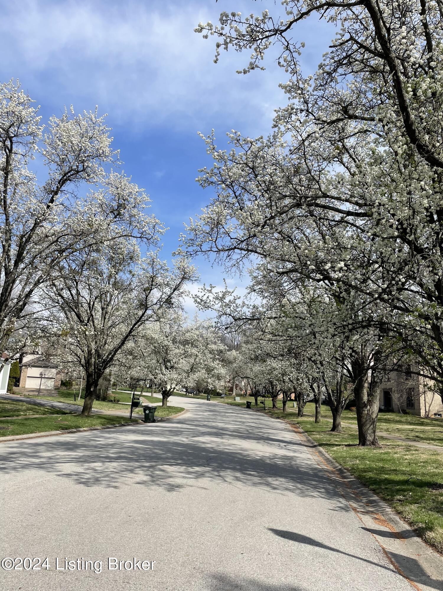 7009 Shallow Lake Road Prospect, KY 40059 - Photo 50 of 50 Spring Flowering Trees