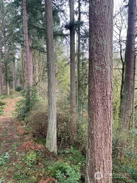 -xxx Hellman Road Clinton, WA 98236 - Photo 4 of 15