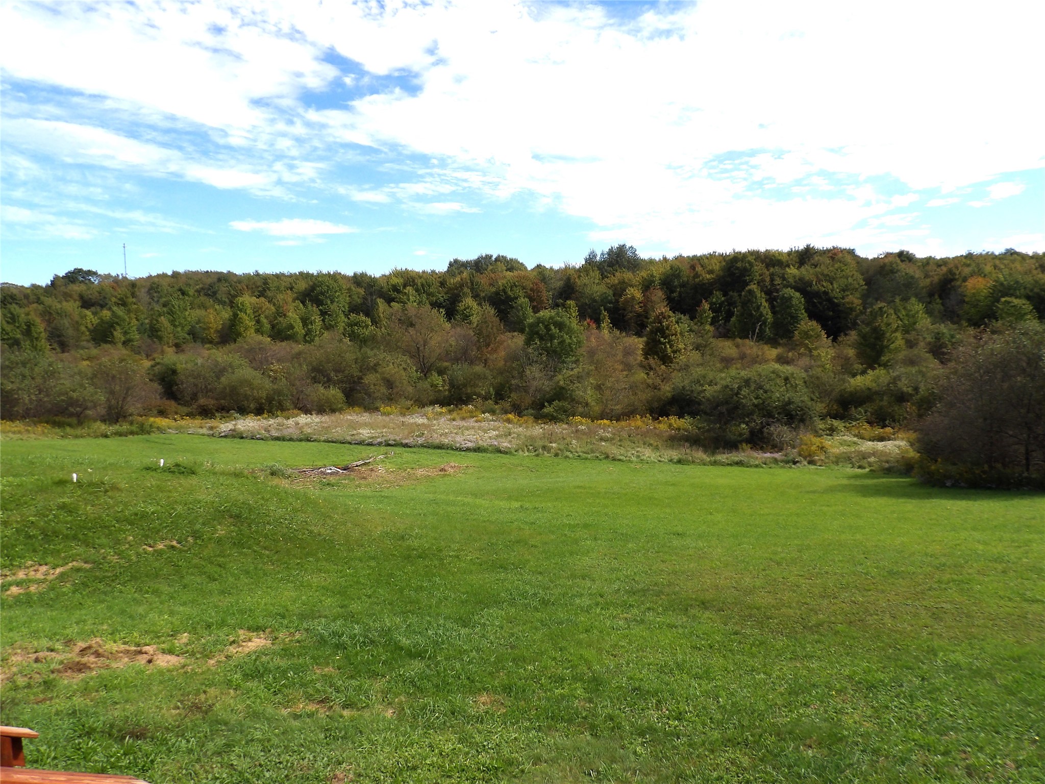 1345 Donation Road Erie, PA 16509 - Photo 41 of 47 The lot is a square shaped four acres. Property extends about 30 feet or so beyond the yellow vegetation. Seller will try to locate survey markers. Even includes a small stream running through part of it!