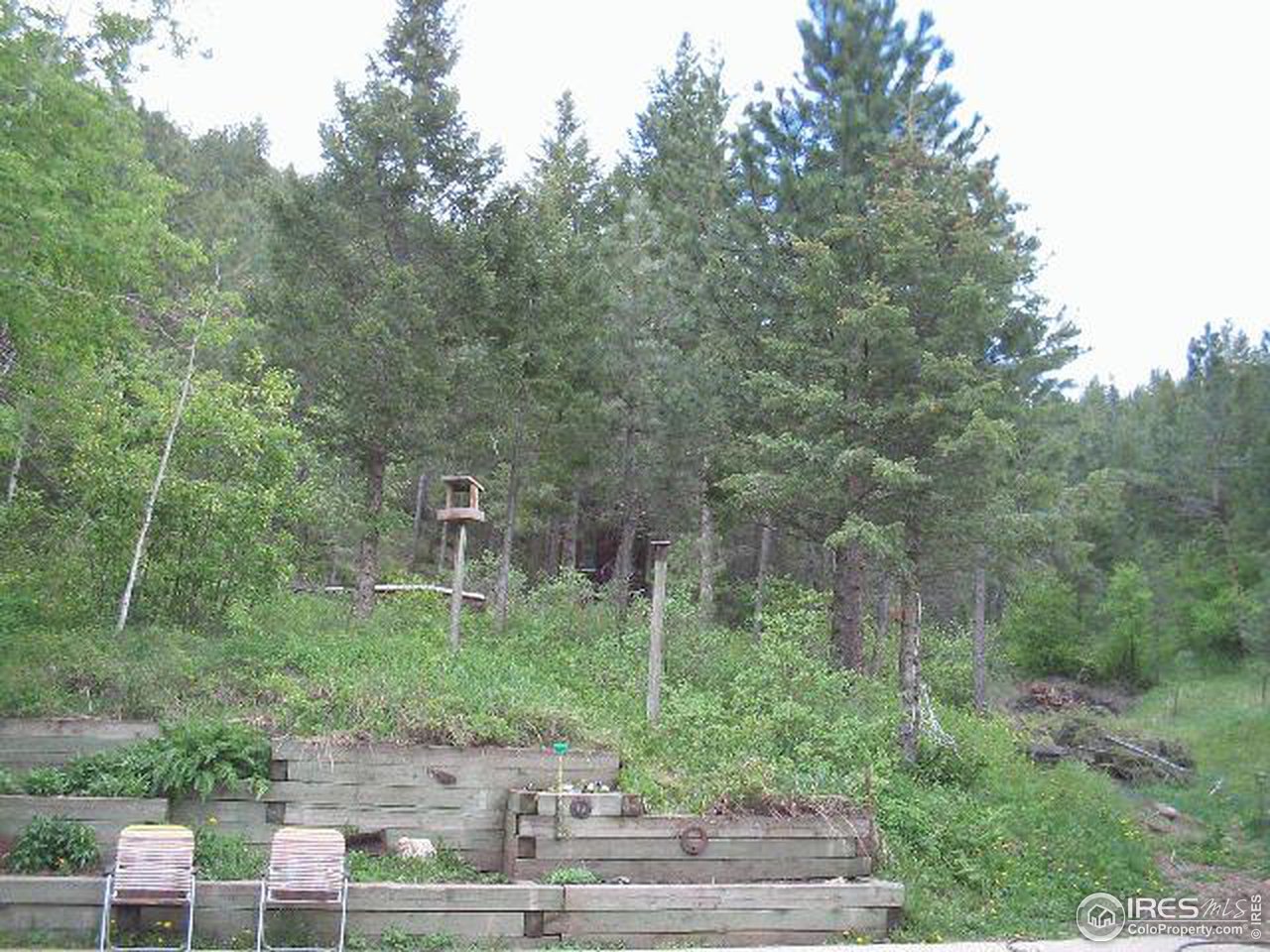 50 Davis Ranch Road Bellvue, CO 80512 - Photo 4 of 7 Gallery Image 4