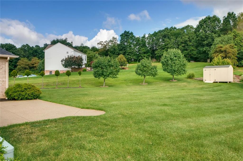 114 Oakland Heights Road Monaca, PA 15061 - Photo 3 of 25 114 Oakland Heights rear yard