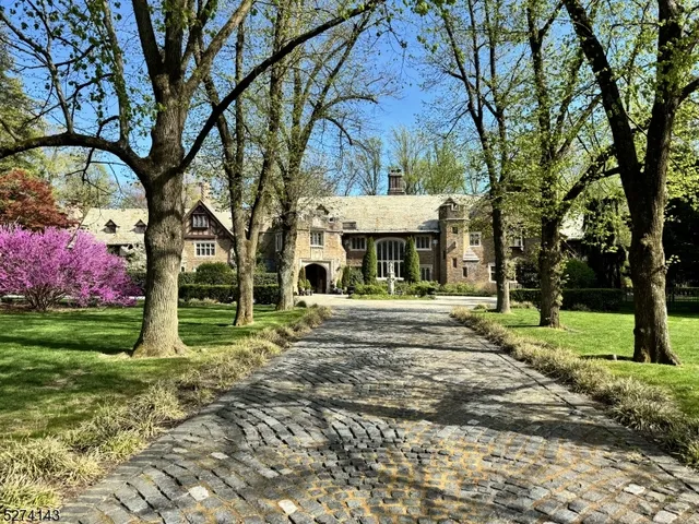 a view of house with backyard and trees