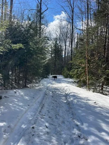$105,000 | Lot 22 Taylor Woods Road, Bethel, ME 04217