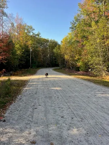 $105,000 | Lot 22 Taylor Woods Road, Bethel, ME 04217