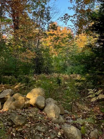 $105,000 | Lot 22 Taylor Woods Road, Bethel, ME 04217