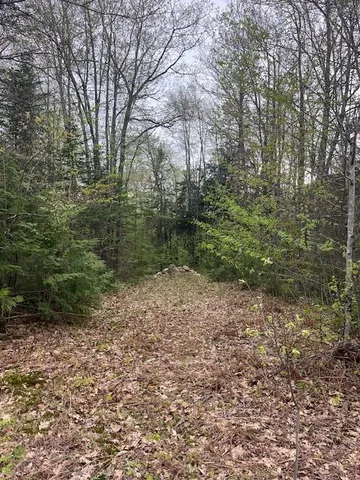 $105,000 | Lot 22 Taylor Woods Road, Bethel, ME 04217