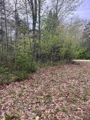 $105,000 | Lot 22 Taylor Woods Road, Bethel, ME 04217