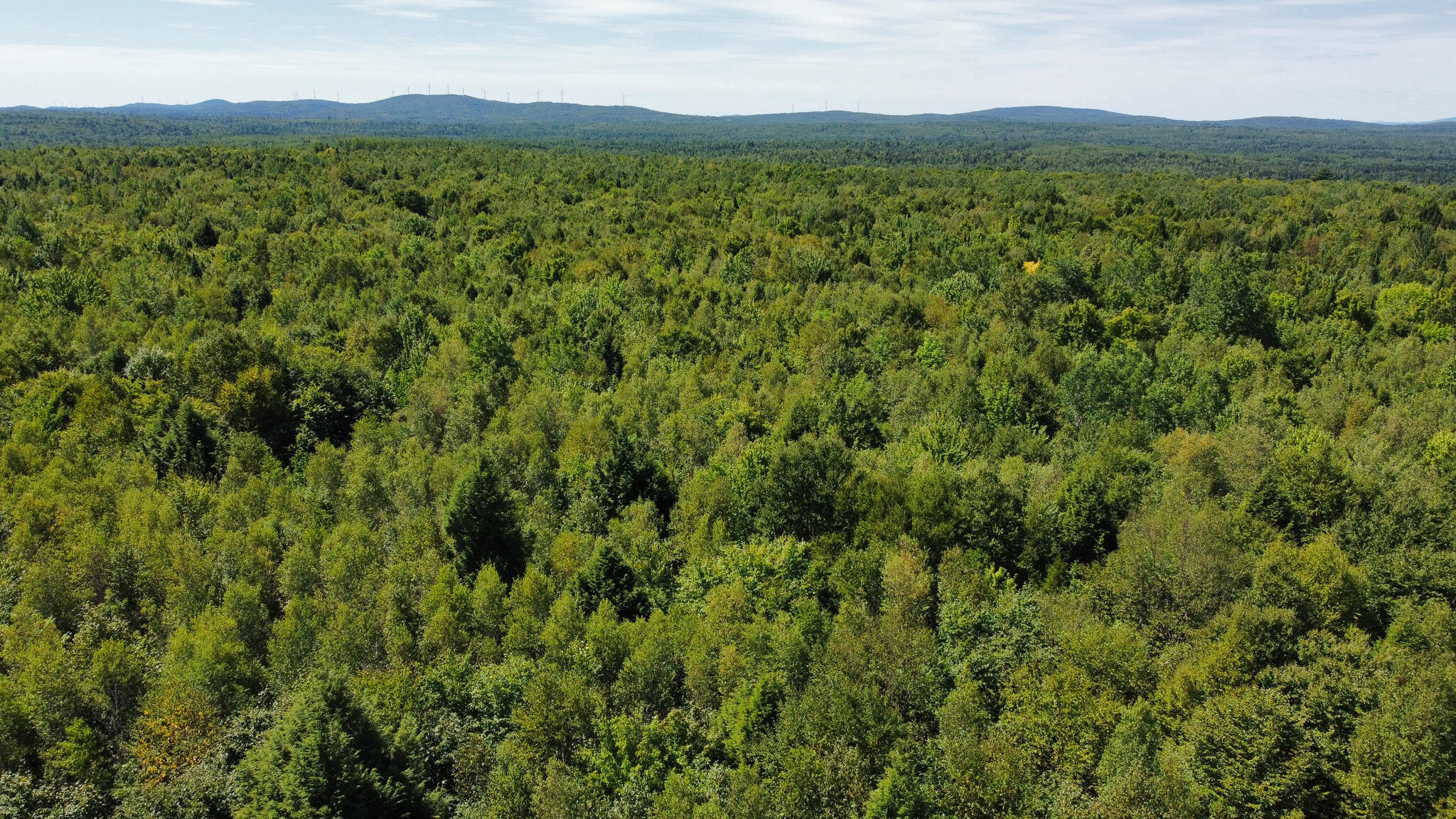 95 Branch Road Wells, ME 04090 - Photo 2 of 23 2