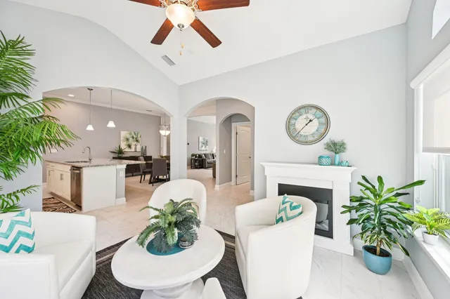 a living room with furniture a fireplace and a potted plant