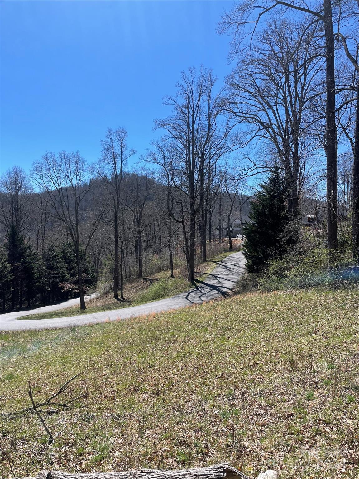 99999 Winding Ridge Road, Unit 12 Fairview, NC 28730 - Photo 3 of 9 Gallery Image 3