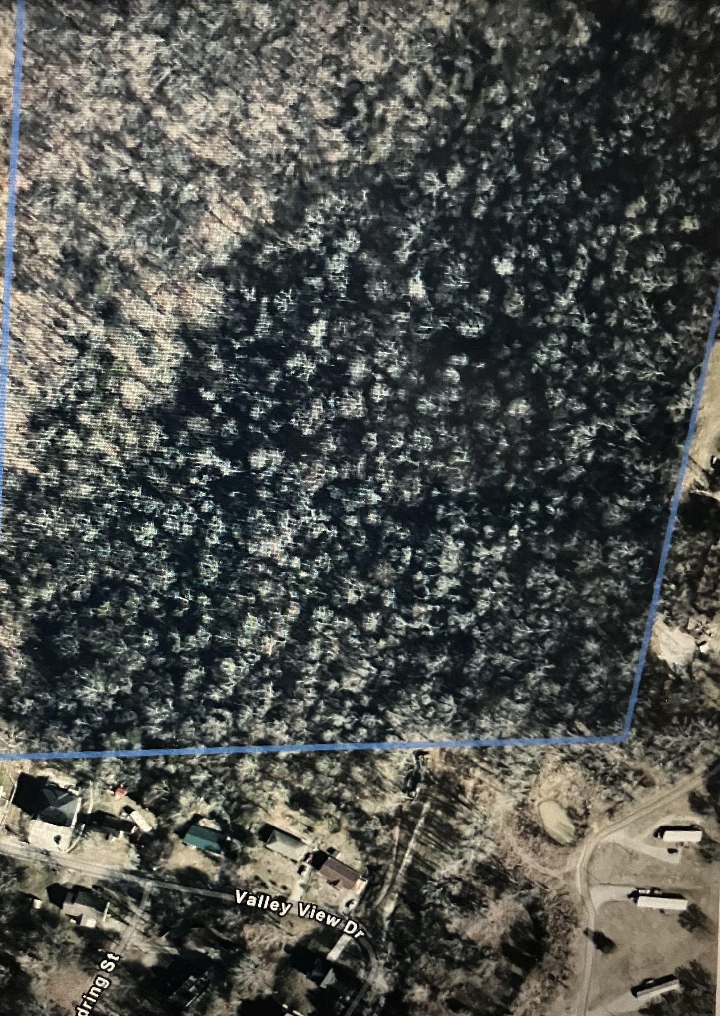 0 North 3rd Street Pulaski, TN 38478 - Photo 8 of 11 a close up of a tree