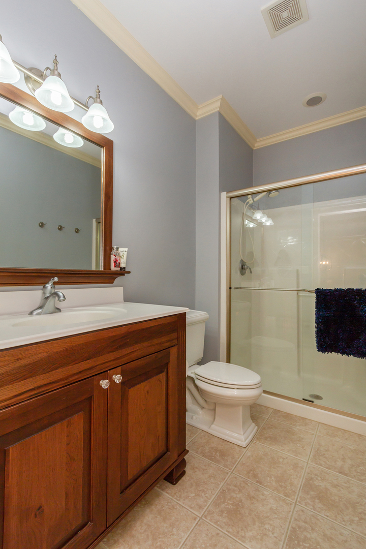 32 Bluestone Drive St. Charles, IL 60174 - Photo 26 of 33 a bathroom with a sink a toilet a mirror and shower