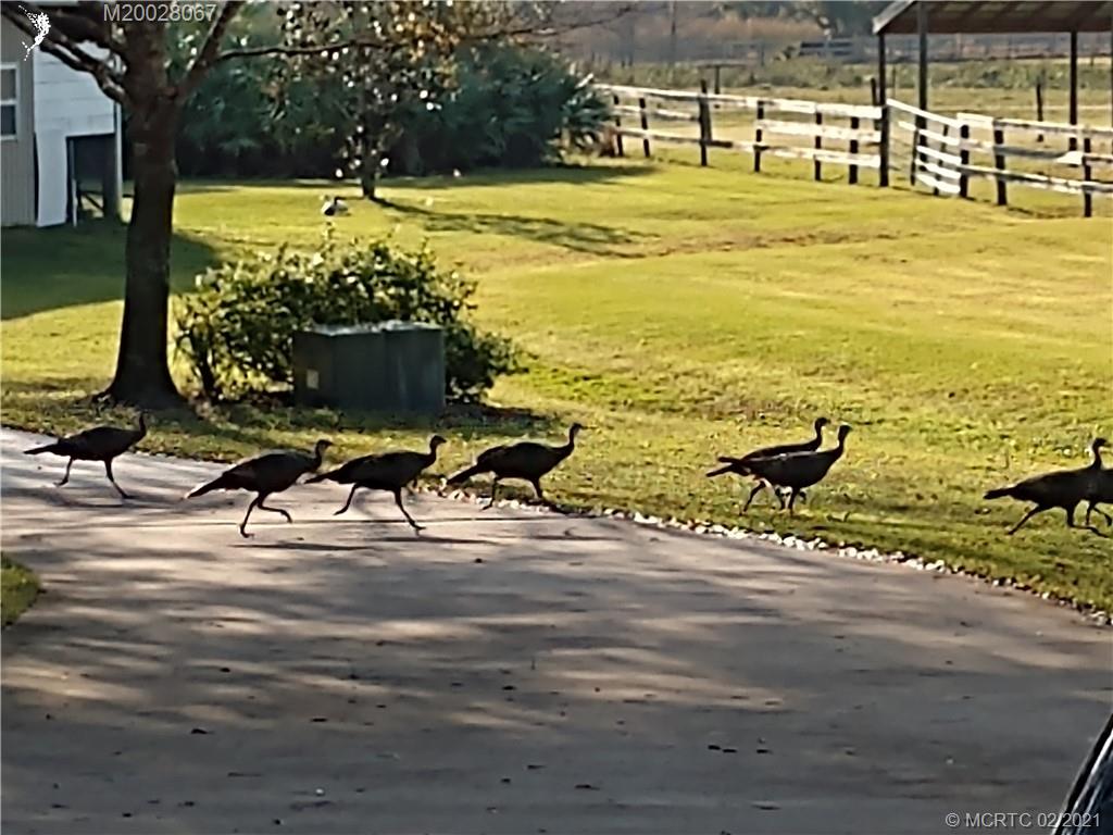 2245 Southwest Trailside Path Stuart, FL 34997 - Photo 41 of 52