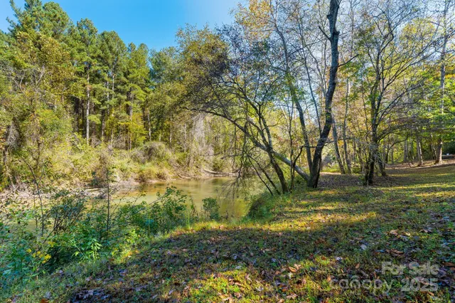 a view of a lush green field with a mountain in the background