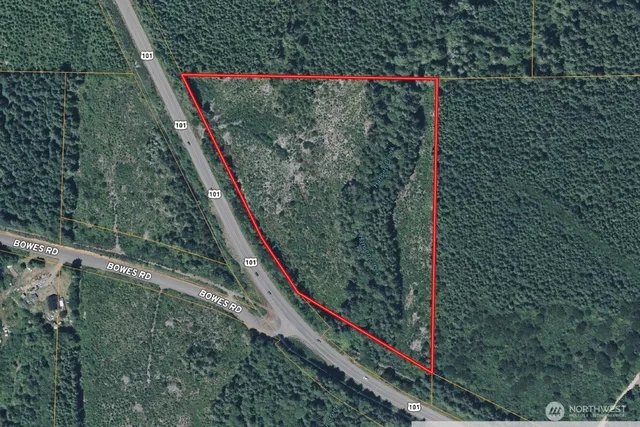 a view of a forest from a balcony