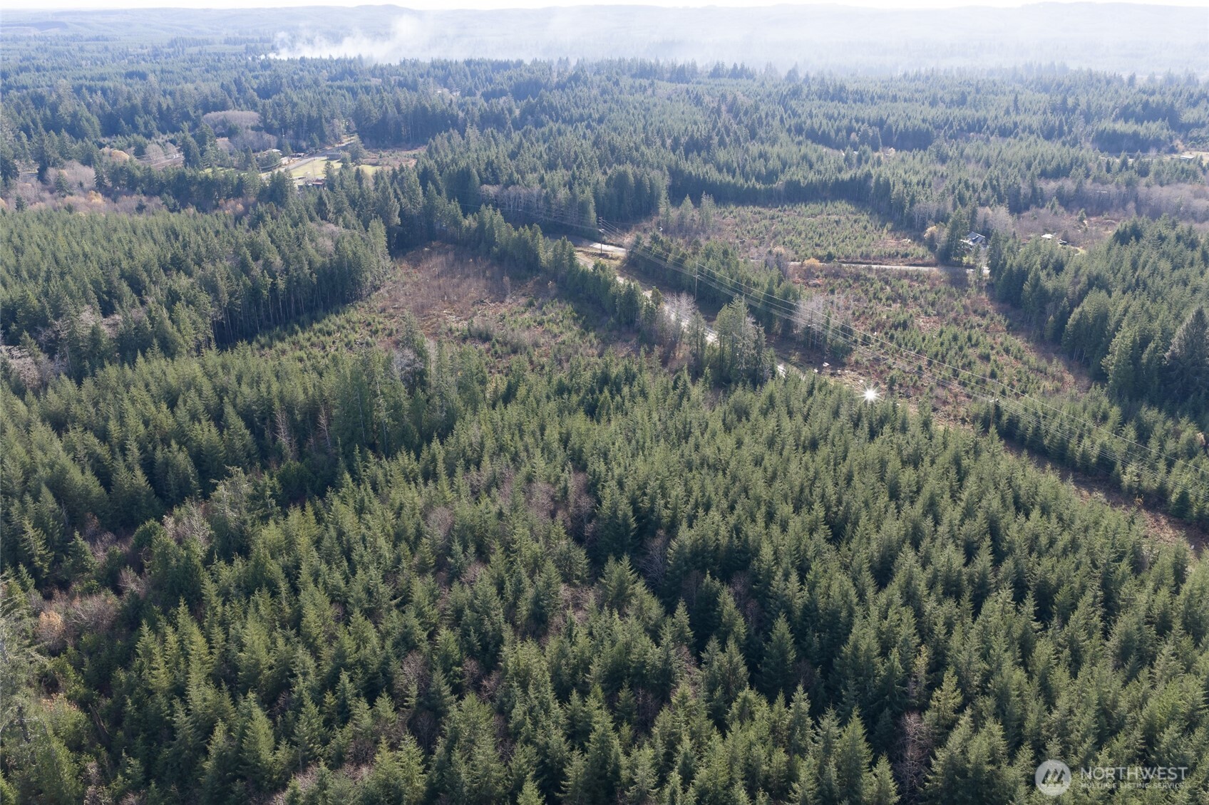 101 Highway 101 Hoquiam, WA 98550 - Photo 3 of 7 a view of a forest with a street