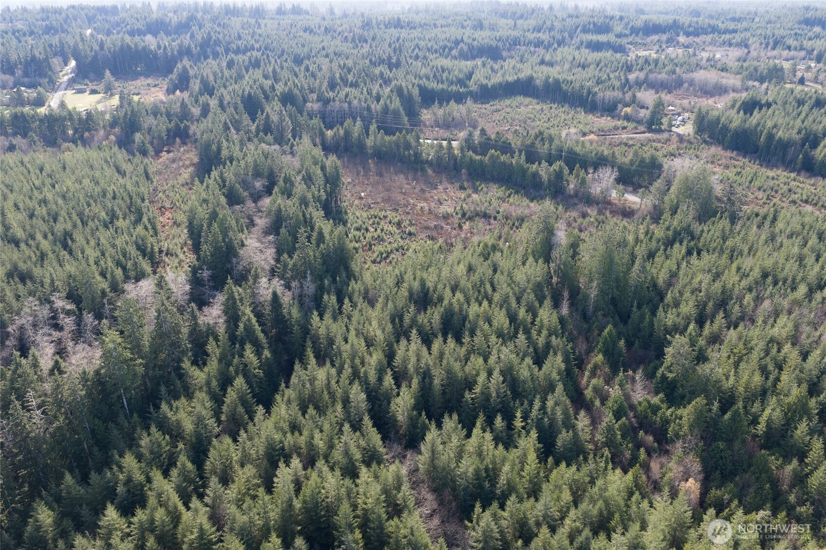 101 Highway 101 Hoquiam, WA 98550 - Photo 4 of 7 a view of a forest with a street