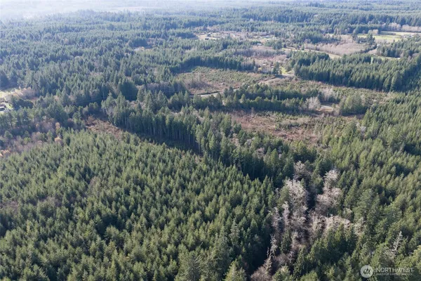 an aerial view of residential house with outdoor space and trees