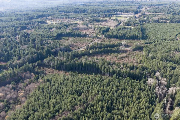an aerial view of residential houses with outdoor space and trees