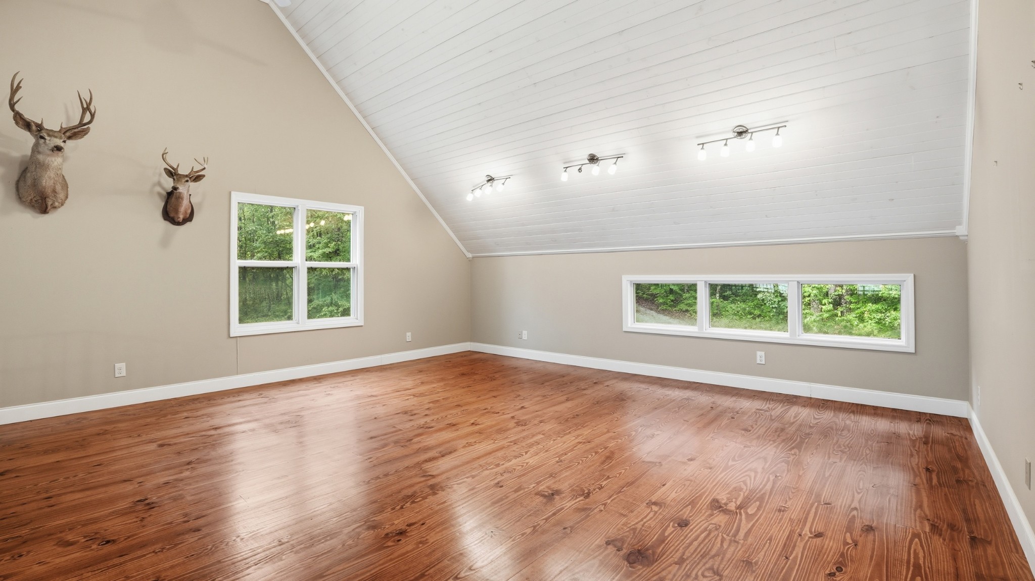 705 North Campbell Road Altamont, TN 37301 - Photo 44 of 97 Gallery Image 44