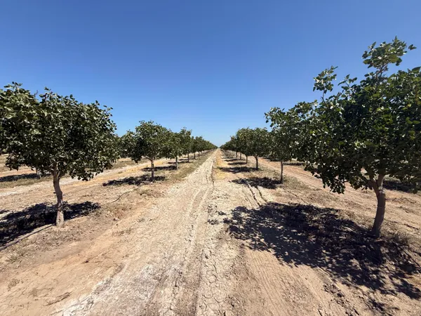 $920,000 | 0 Road 30, Alpaugh, CA 93201