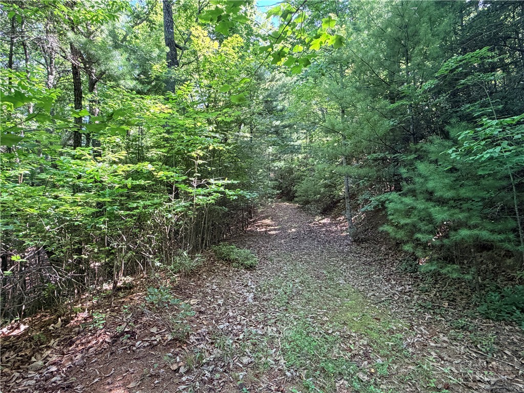 171-172b Blue Rock Road Purlear, NC 28665 - Photo 13 of 47