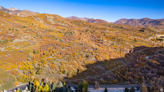 541 South Left Fork East, Unit 8 Springville, UT 84663 - Photo 28 of 35 View of mountain background featuring a forest