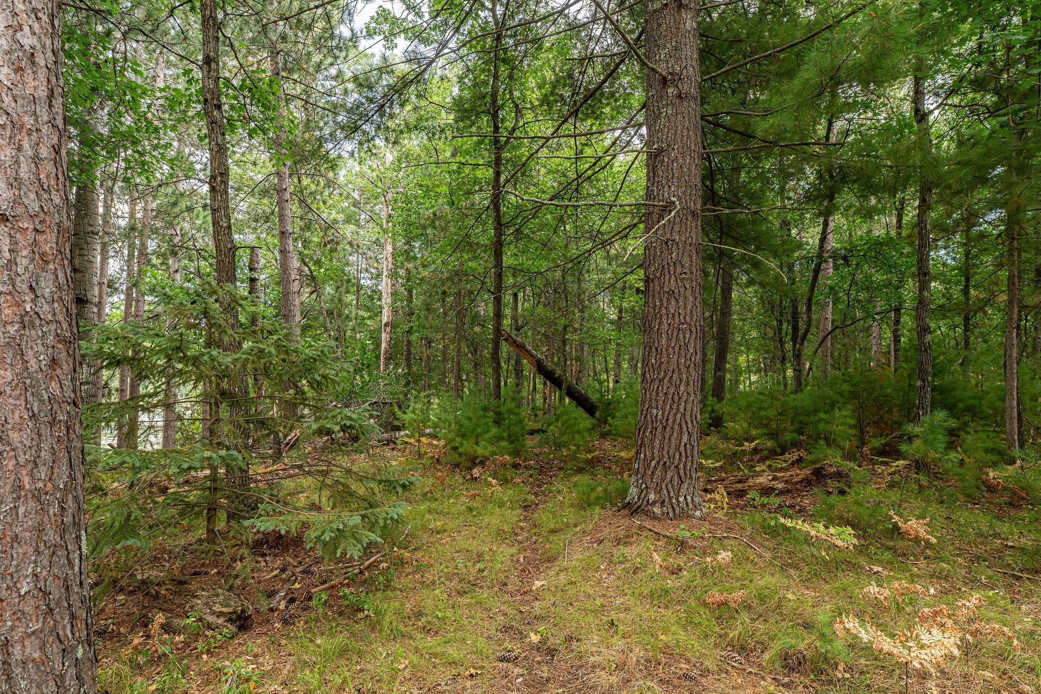 3 Birch Lake Road Solon Springs, WI 54873 - Photo 16 of 23 Gallery Image 16