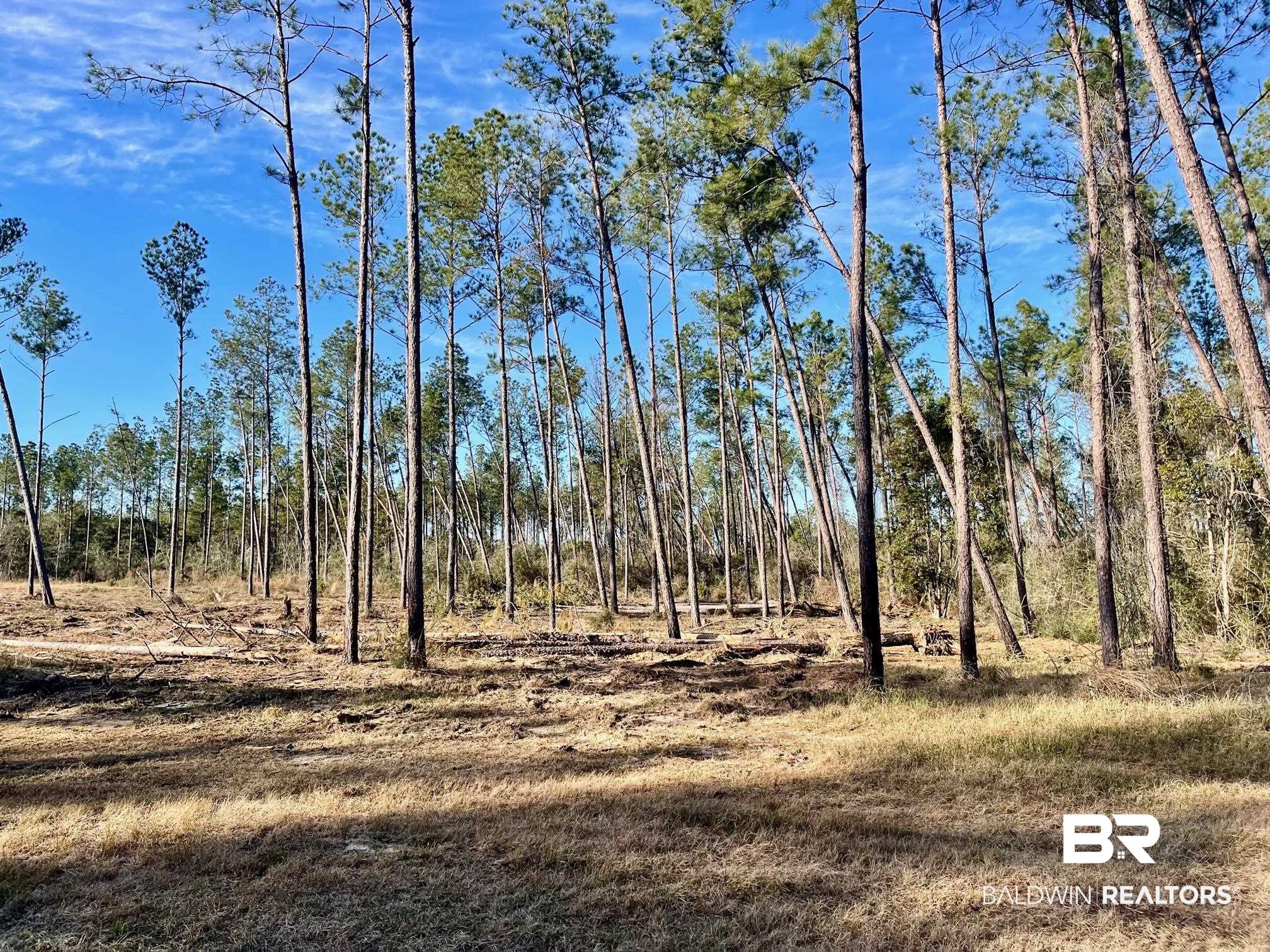 30147 Gardner Road Elberta, AL 36530 - Photo 2 of 28