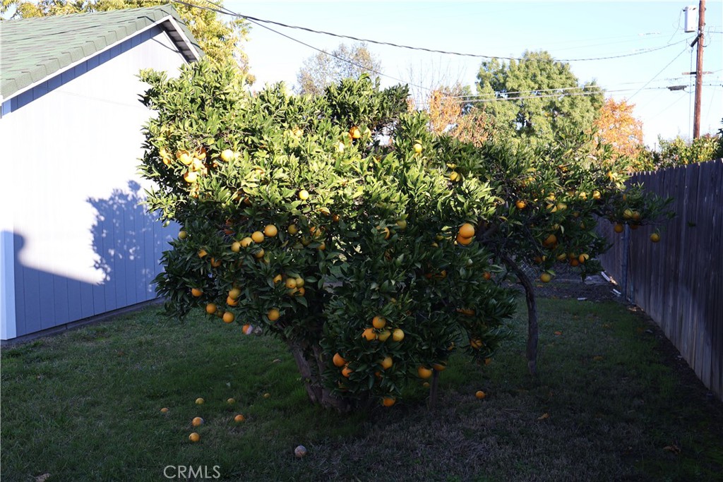 1311 6th Avenue Corning, CA 96021 - Photo 28 of 48 a backyard of a house with lots of green space
