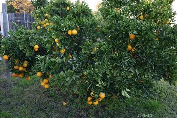 a backyard of a house with lots of green space and two chairs