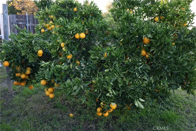 $270,000 | 1311 6th Avenue, Corning, CA 96021