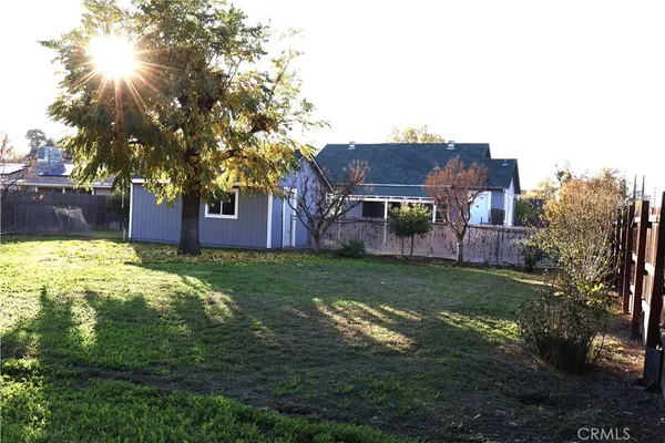 a view of a yard in front of a house with a large tree