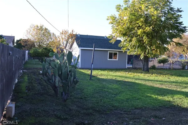 a view of a backyard with plants and large tree