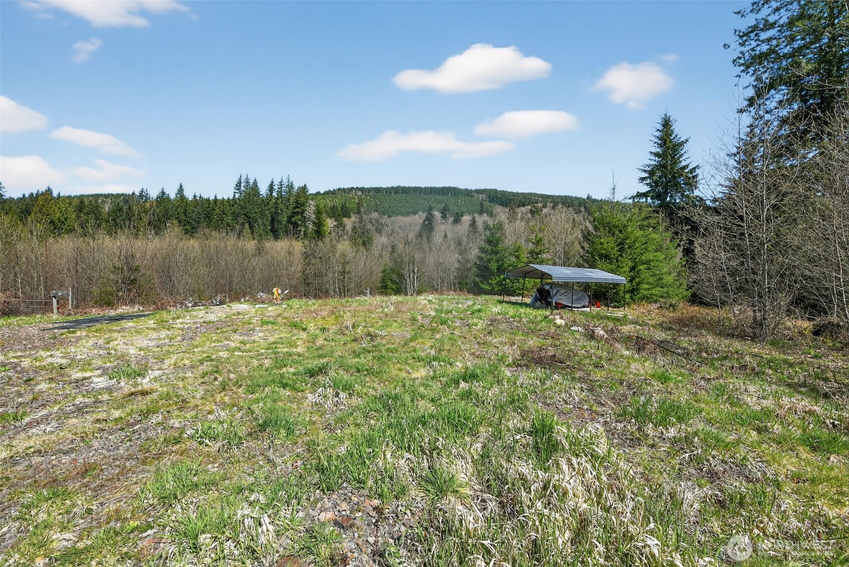 210 Bellicum Road Morton, WA 98356 - Photo 1 of 35 Gallery Image 1