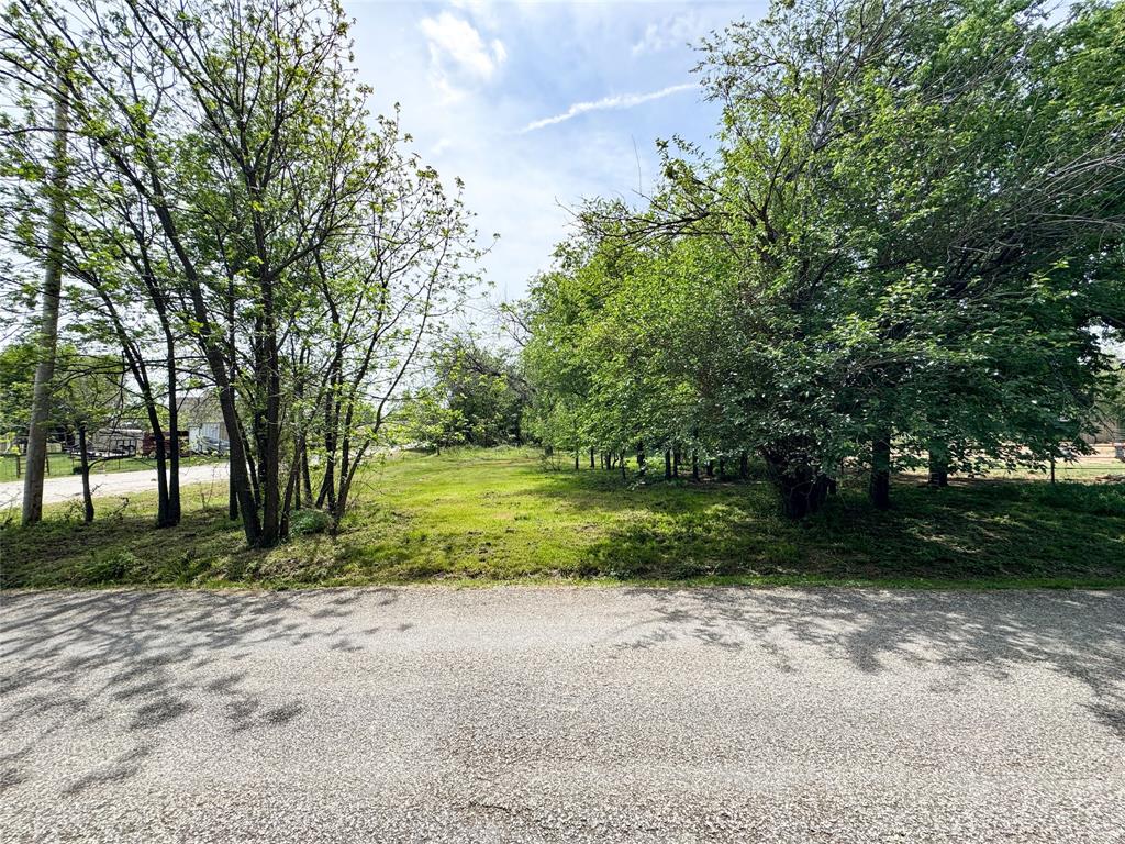 301 West 2nd Street Cisco, TX 76437 - Photo 1 of 9 a view of a yard with plants and trees