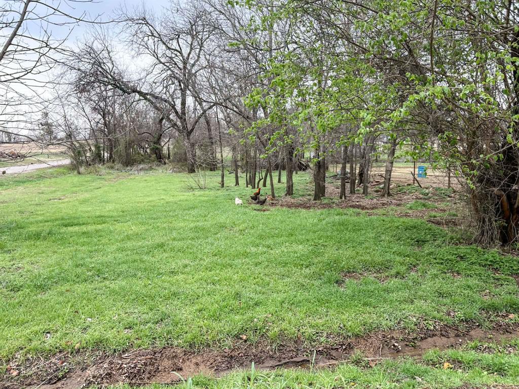 301 West 2nd Street Cisco, TX 76437 - Photo 3 of 9 a view of a park with large trees