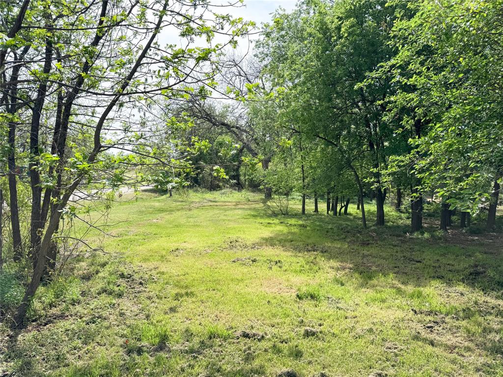 301 West 2nd Street Cisco, TX 76437 - Photo 4 of 9 a view of a trees with a yard