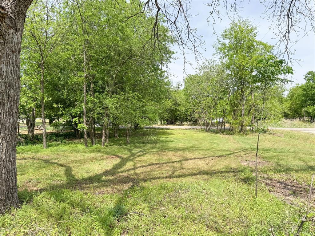 301 West 2nd Street Cisco, TX 76437 - Photo 6 of 9 a view of a trees with a yard