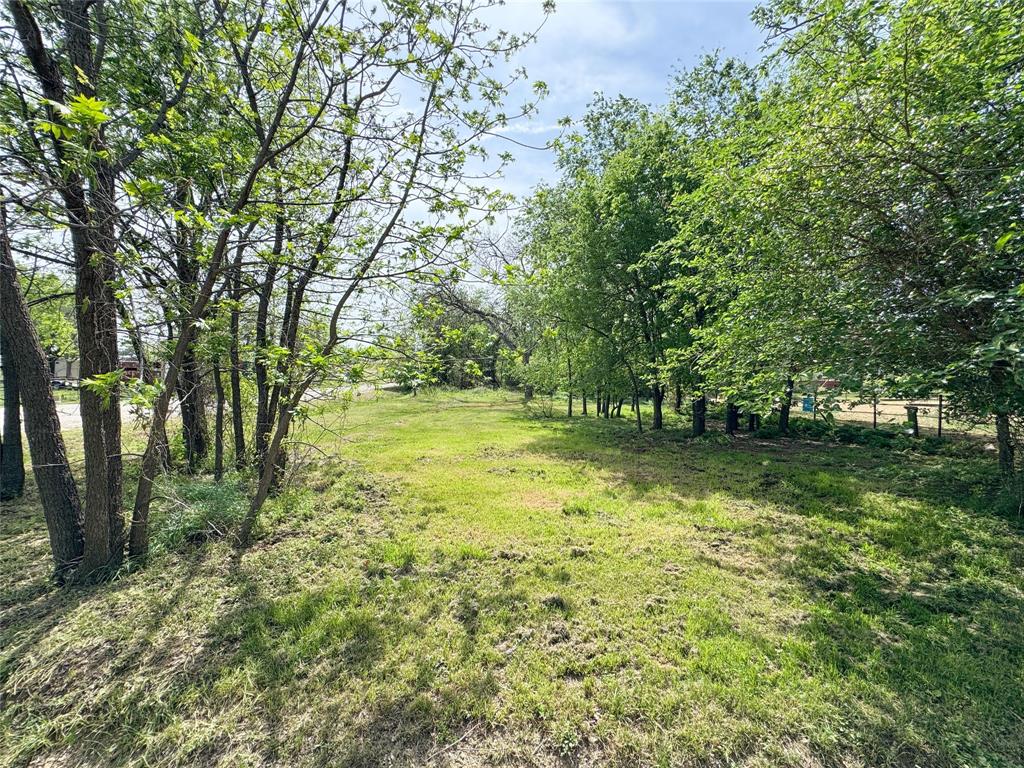 301 West 2nd Street Cisco, TX 76437 - Photo 7 of 9 a view of a trees with a yard