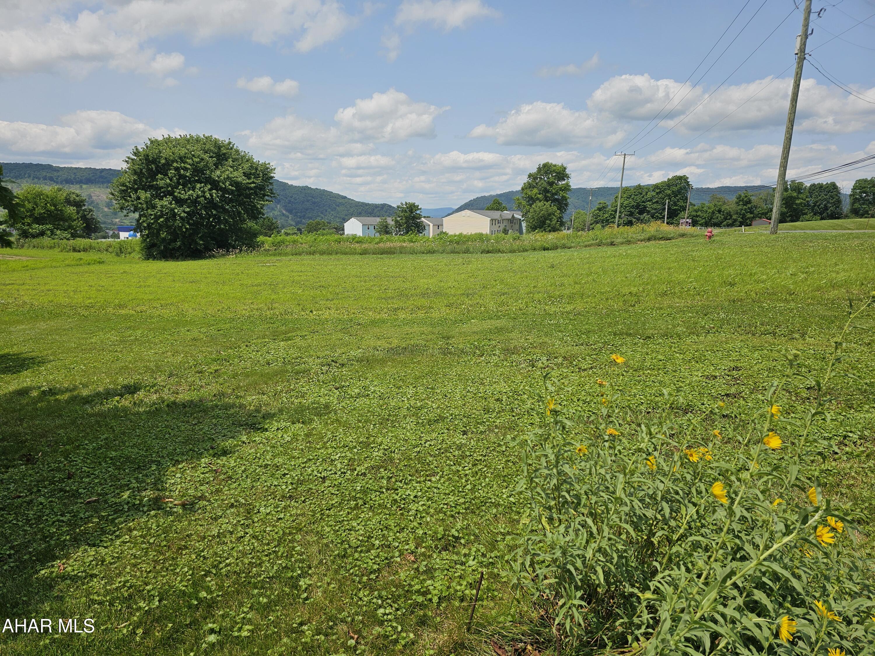 514 Cove Ln Road Roaring Spring, PA 16673 - Photo 7 of 57