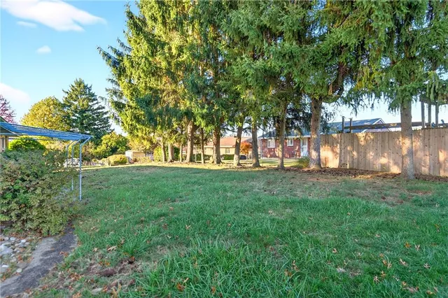 a view of backyard with tree