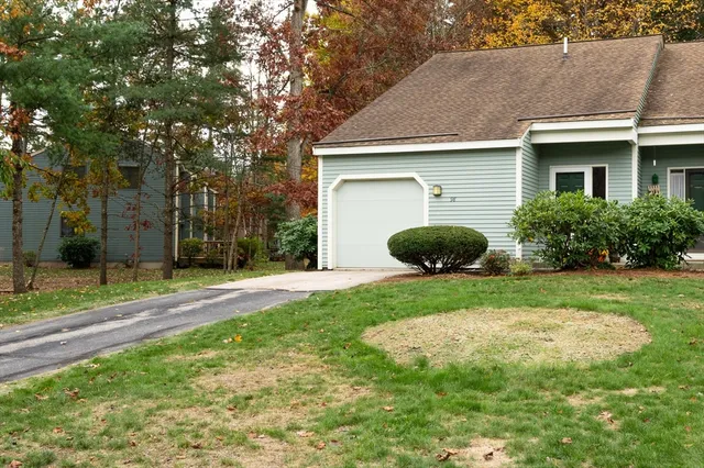 a view of a backyard with potted plants and large tree