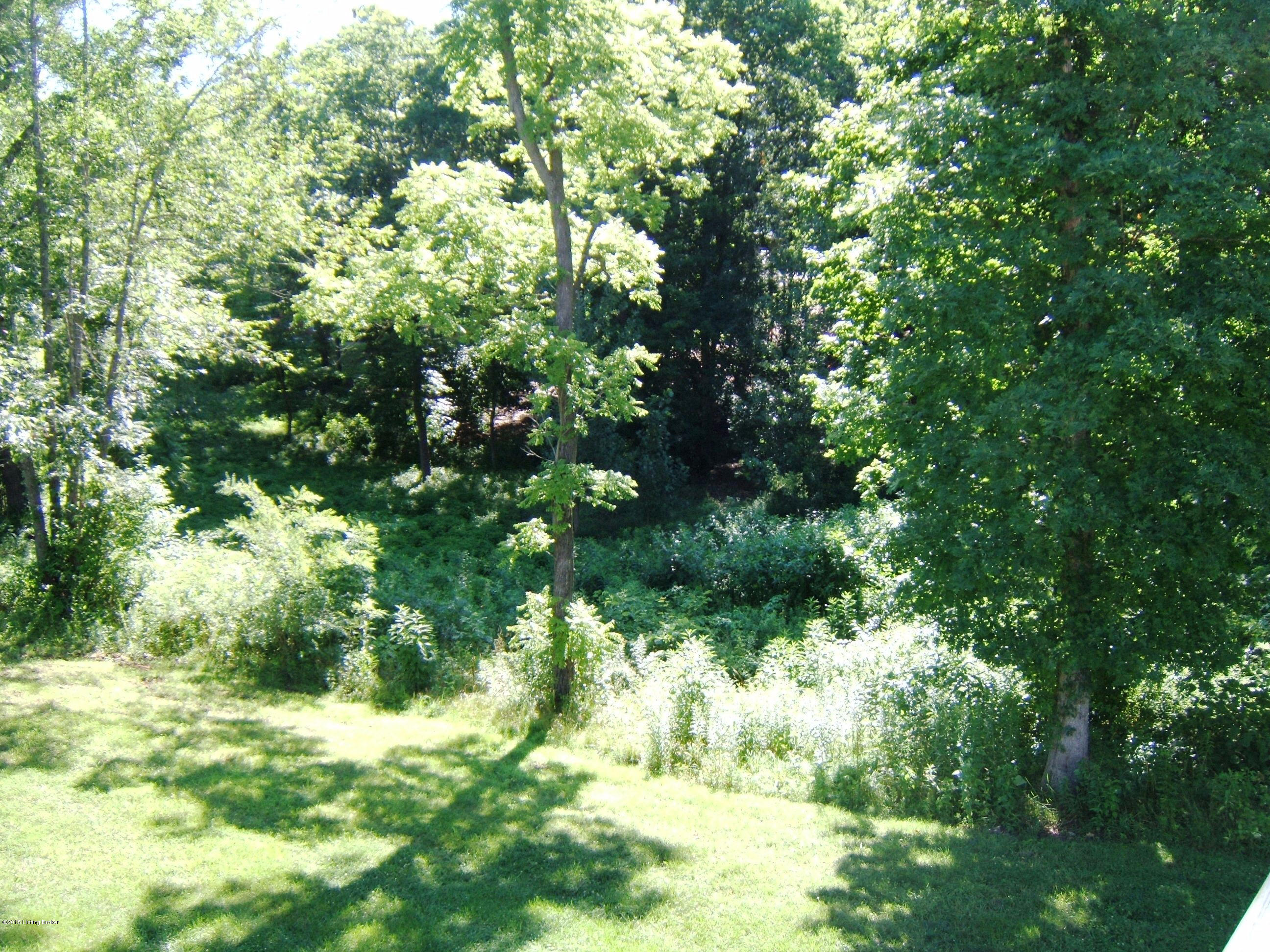 115 Rolling Ridge Court Brandenburg, KY 40108 - Photo 26 of 26 DSCF1454